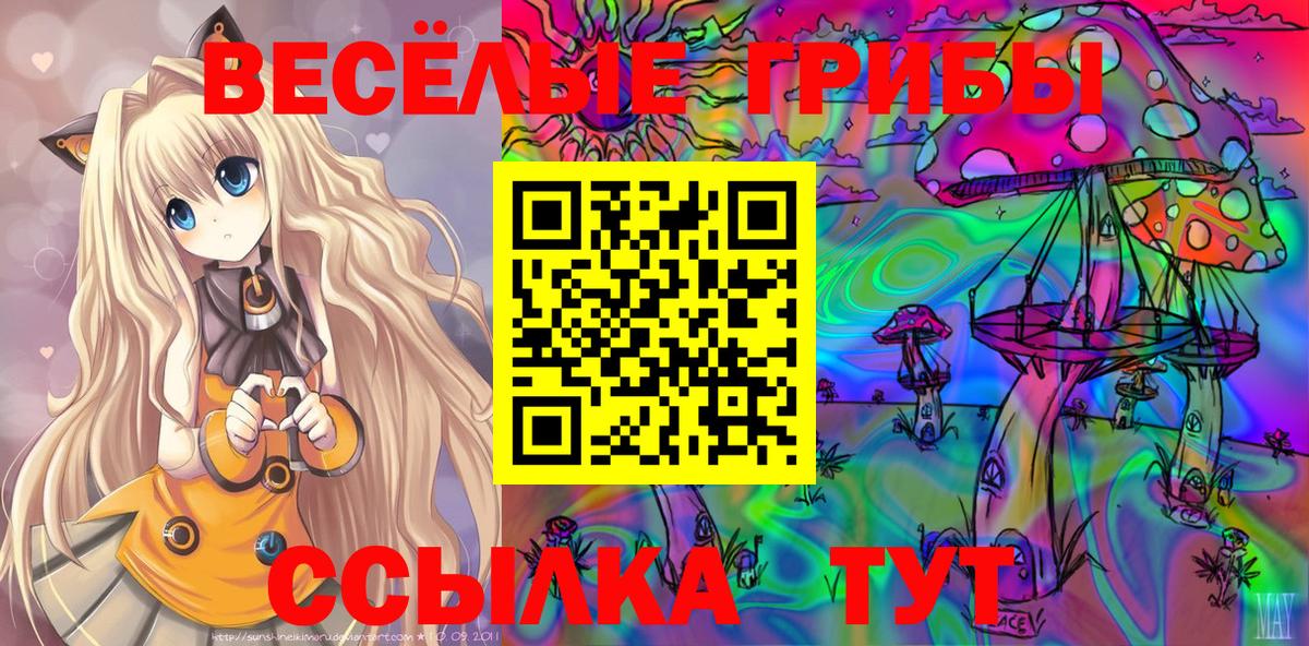 Галлюциногенные грибы ЛСД  Вход с VPN  Кольчугино  Галлюциногенные грибы MAGIC MUSHROOMS 