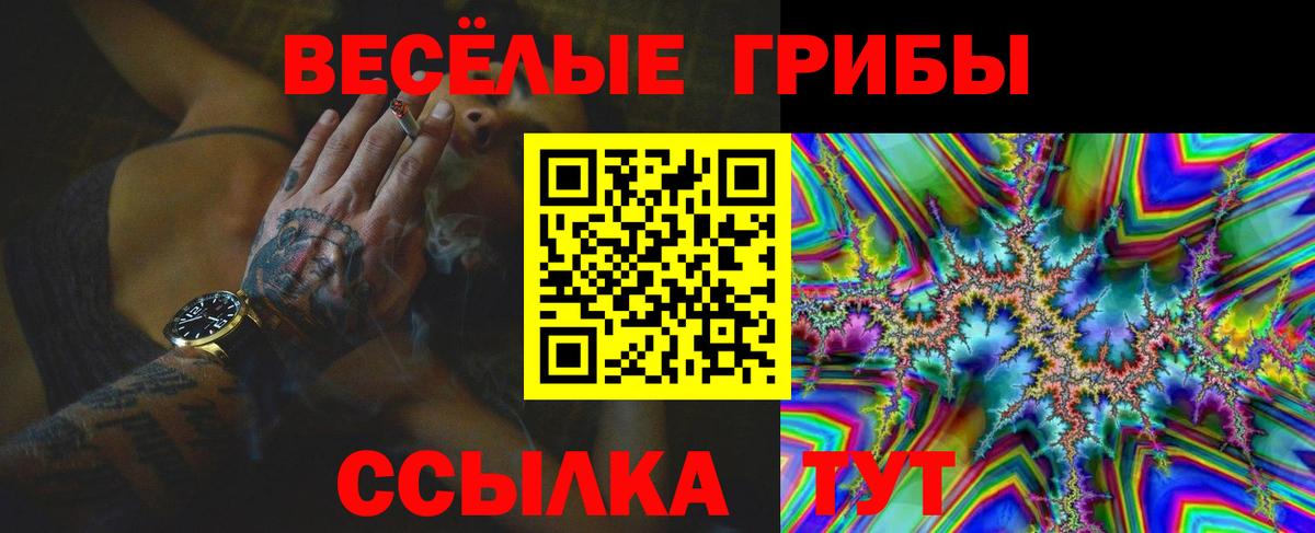 Галлюциногенные грибы Magic Shrooms Кольчугино
