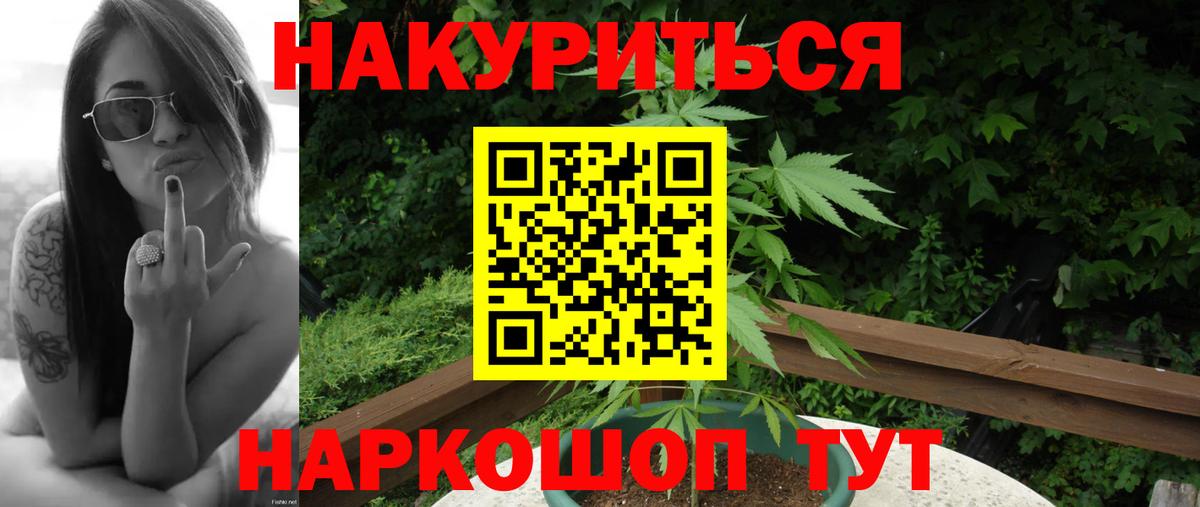 Бошки марихуана сатива  МАРИХУАНА тримм  Вход с VPN  Бошки марихуана план  Кольчугино  Каннабис марихуана 